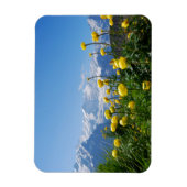 Bloemen | Eiger Monch Swiss Alps Magneet (Verticaal)