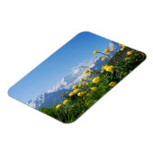 Bloemen | Eiger Monch Swiss Alps Magneet (Linkerzijde)