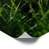 Bloemen | Eiger Monch Swiss Alps Poster (Hoek)