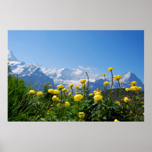 Bloemen   Eiger Monch Swiss Alps Poster