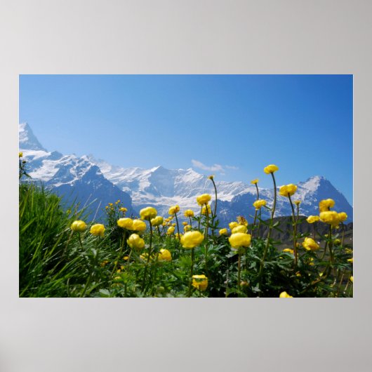 Bloemen | Eiger Monch Swiss Alps Poster (Voorkant)