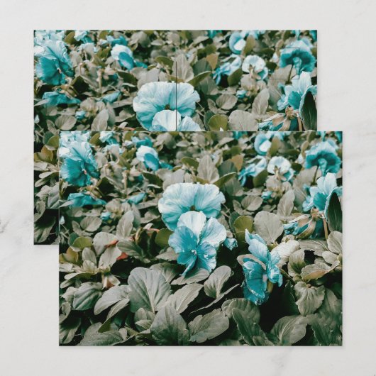 Bloemen en bladeren, gekleurd briefkaart (Voorkant / Achterkant)