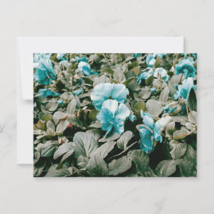 Bloemen en bladeren, gekleurd briefkaart