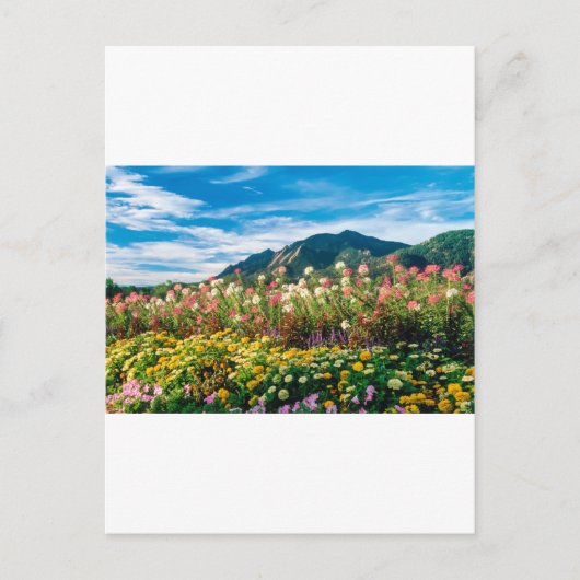 bloemen en bloemen briefkaart (Voorkant)