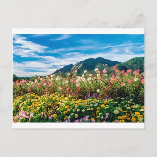 bloemen en bloemen briefkaart (Voorkant)