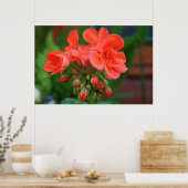 Bloemen en blokjes poster (Keuken)