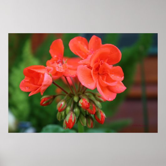 Bloemen en blokjes poster (Voorkant)