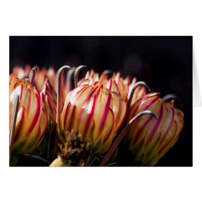 Bloemen en bommen (Voorkant Horizontaal)