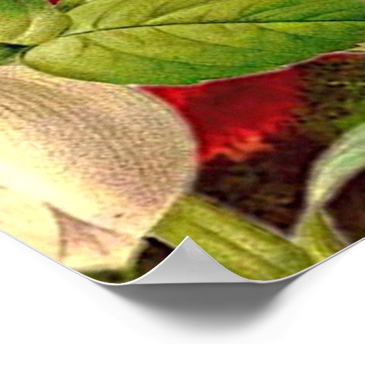  bloemen en botervliegen Waarde Poster (Hoek)