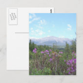 Bloemen en de Berg Briefkaart (Voorkant / Achterkant)