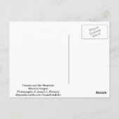 Bloemen en de Berg Briefkaart (Achterkant)