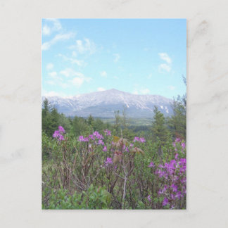 Bloemen en de Berg Briefkaart