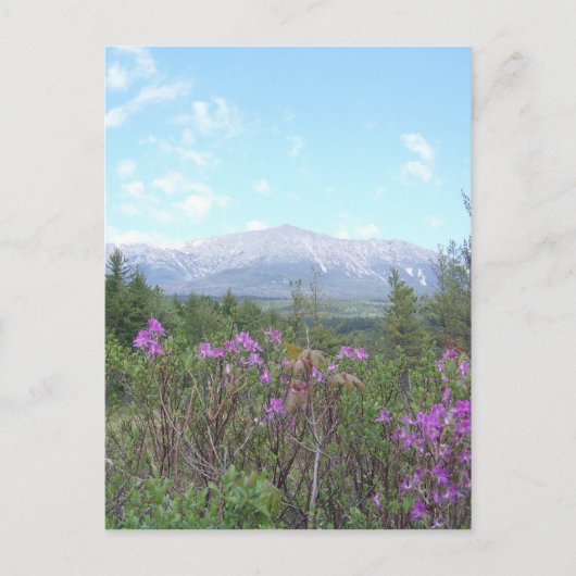 Bloemen en de Berg Briefkaart (Voorkant)