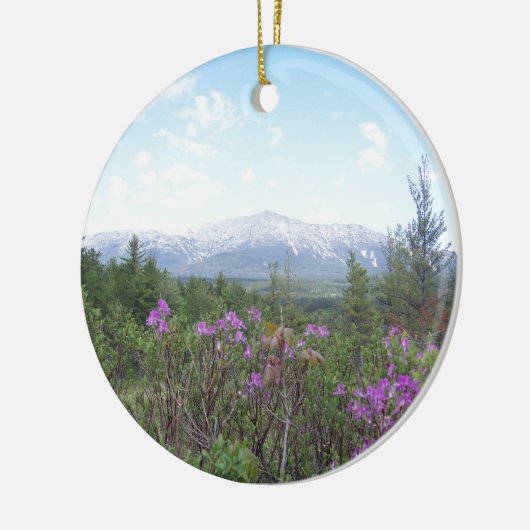 Bloemen en de Berg Keramisch Ornament (Links)