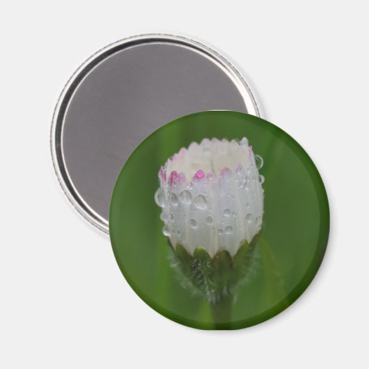 Bloemen en druppels voor water magneet (Voorkant / Achterkant)