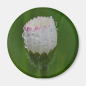 Bloemen en druppels voor water magneet (Voorkant)