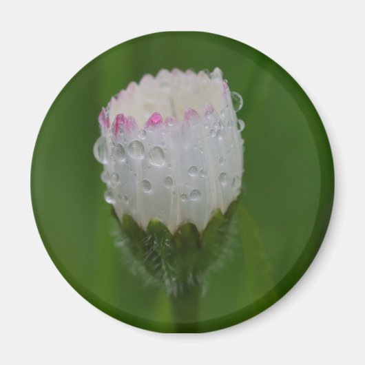 Bloemen en druppels voor water magneet (Voorkant)