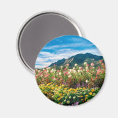 Bloemen en Flatirons Magneet (Voorkant / Achterkant)