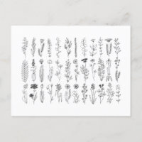 bloemen en inkttekening van kruiden