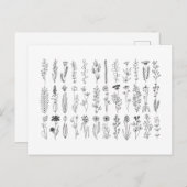 bloemen en inkttekening van kruiden briefkaart (Voorkant / Achterkant)
