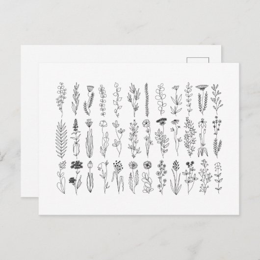 bloemen en inkttekening van kruiden briefkaart (Voorkant / Achterkant)