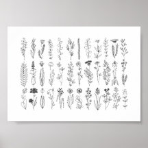 bloemen en inkttekening van kruiden