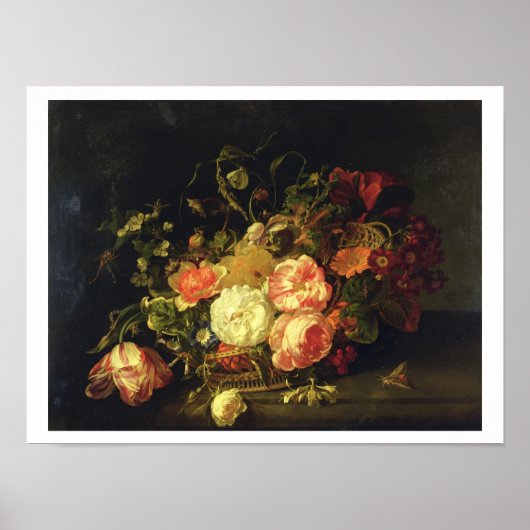 Bloemen en insecten, 1711 (olie op het paneel) poster (Voorkant)