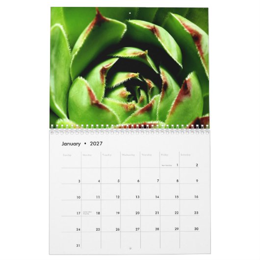 Bloemen en insecten kalender (Jan 2027)