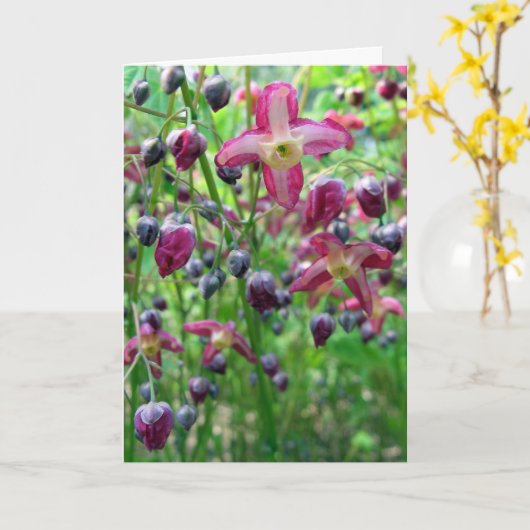 bloemen en knoppen Spring Photo Moederdag Kaart (Gele Bloem)