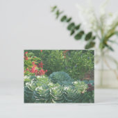 Bloemen en kool briefkaart (Staand voorkant)