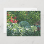 Bloemen en kool briefkaart (Voorkant / Achterkant)