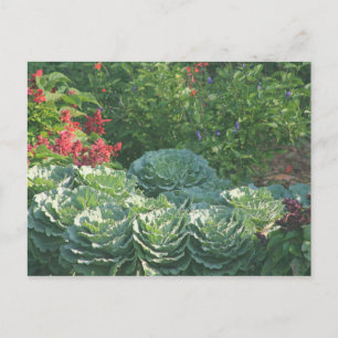 Bloemen en kool briefkaart