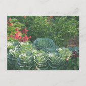 Bloemen en kool briefkaart (Voorkant)