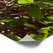 Bloemen en lente roze bloemen bladeren takken poster (Hoek)