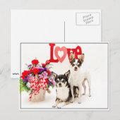 Bloemen en liefde briefkaart (Voorkant / Achterkant)