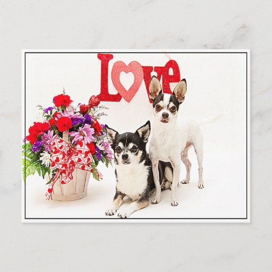 Bloemen en liefde briefkaart (Voorkant)