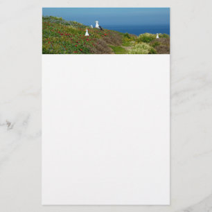 Bloemen en meeuwen op Anacapa-eiland Briefpapier