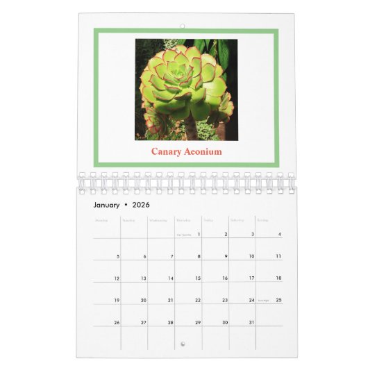 Bloemen en Planten Kalender 2025 (Jan 2026)