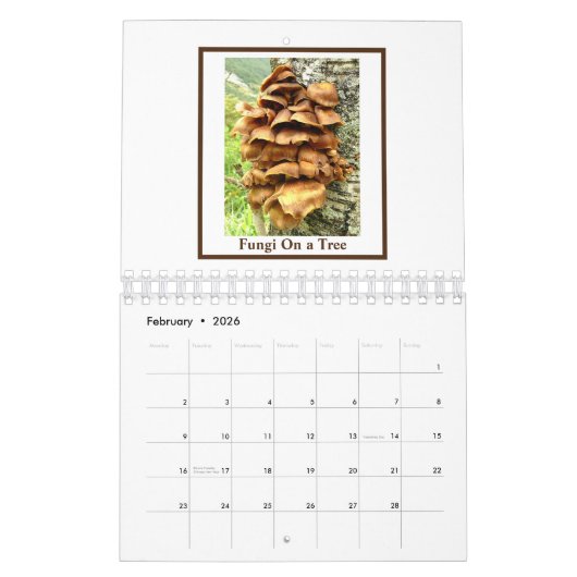 Bloemen en Planten Kalender 2025 (Feb 2026)