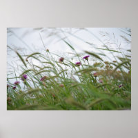 Bloemen en poster van onkruid