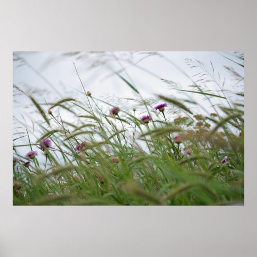 Bloemen en poster van onkruid (Voorkant)