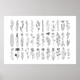 Bloemen en Poster voor inkttekening