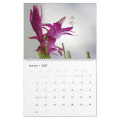 BLOEMEN EN SCHADUWFEEËN 2025 KALENDER (Jan 2027)