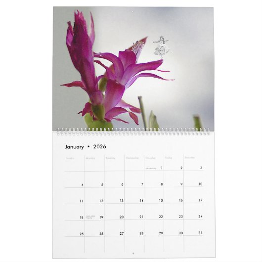 BLOEMEN EN SCHADUWFEEËN 2025 KALENDER (Jan 2026)