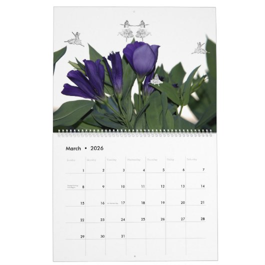 BLOEMEN EN SCHADUWFEEËN 2025 KALENDER (Mar 2026)