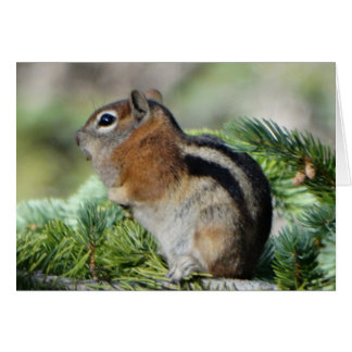 Bloemen en schattige kleine Chipmunk