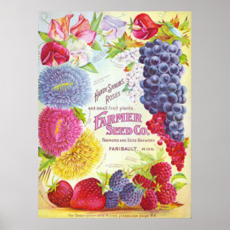 Bloemen en Vintage Hoesje van de Catalogus van fru Poster