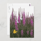 Bloemen en vlinder briefkaart (Voorkant / Achterkant)