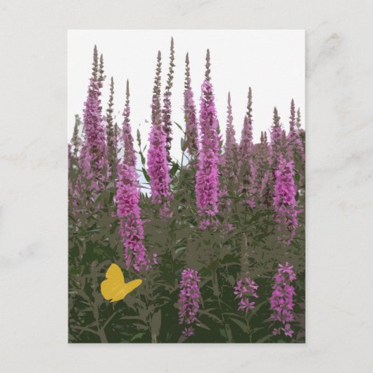 Bloemen en vlinder briefkaart (Voorkant)