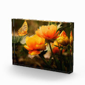 Bloemen en vlinder fotoblokken (Rechts)